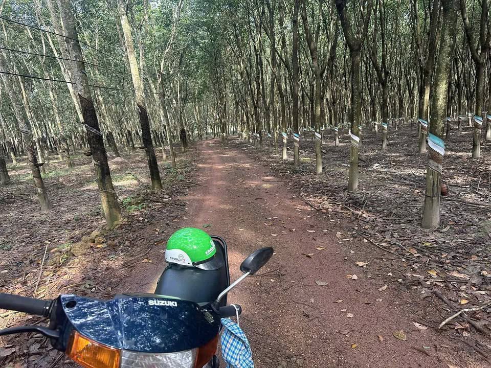 Đất thổ cư 100% Bình Mỹ Bắc Tân Uyên 6900m² giá 3.8 tỷ - Đầu tư sinh lời lý tưởng!