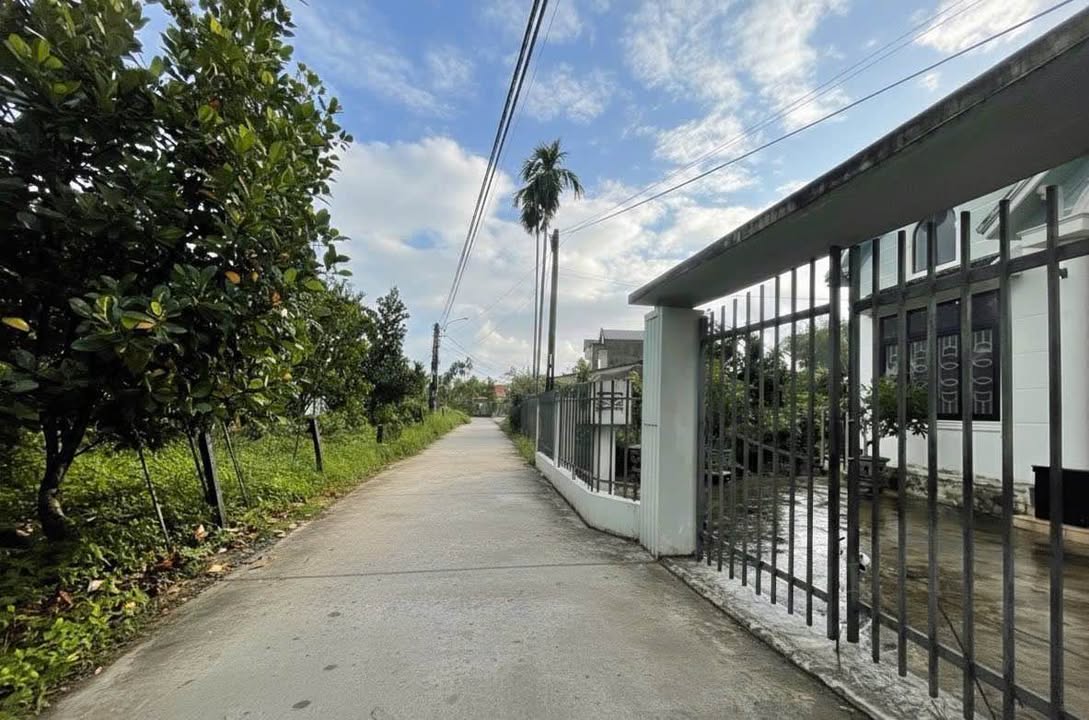 Đất nền Nghĩa Dõng 113m² giá 500 triệu - Đường ô tô vào tận nơi!