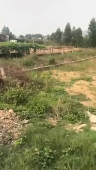 Đất nền khu phố An Sơn, xã Huyền Sơn, huyện Lục Nam, 200m² giá 700 triệu - Cơ hội đầu tư tuyệt vời!