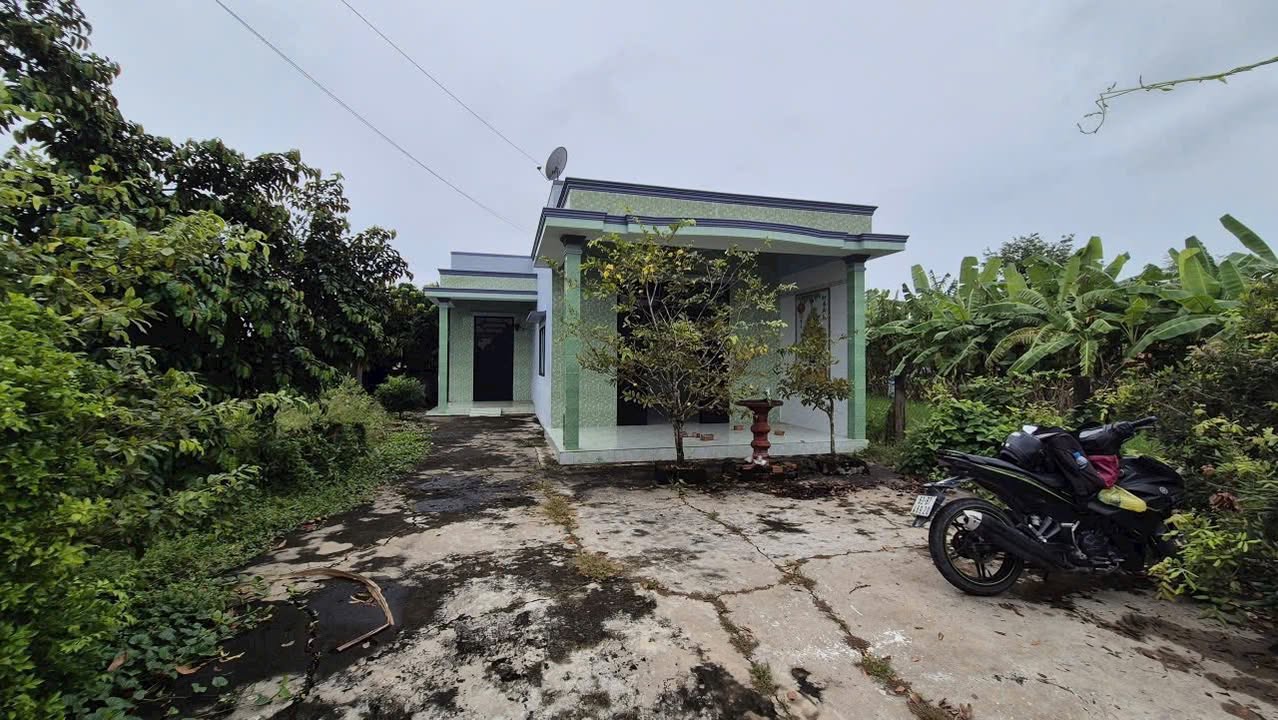 Nhà vườn 4.000m² tại Quê Mỹ Thạnh, Tân Trụ - Giá 3.95 tỷ, Hướng Tây