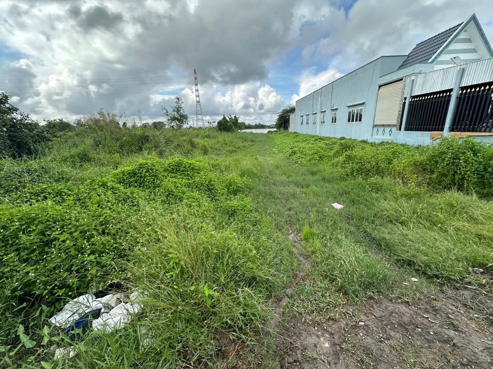 Đất thổ cư 1.167m² mặt tiền đường Tám Thăng - Đầu tư sinh lời tại Bến Lức