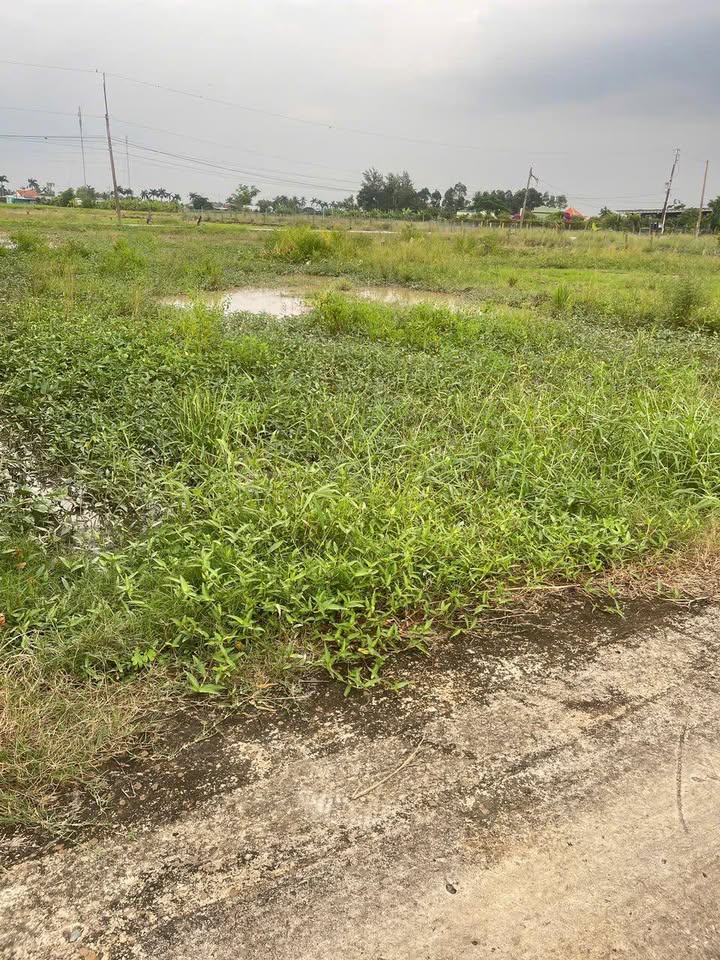 Đất nền 251m² tại Đức Tân, Tân Trụ - Giá chỉ 450 triệu, đầu tư sinh lời!