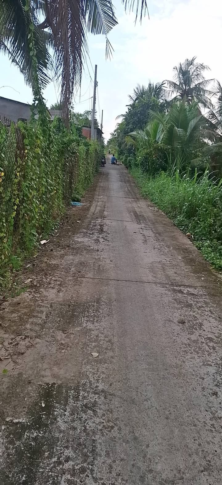 Đất thổ cư 1000m² tại An Vĩnh Ngãi, Tân An giá 1.5 tỷ - Đường ô tô thuận tiện!