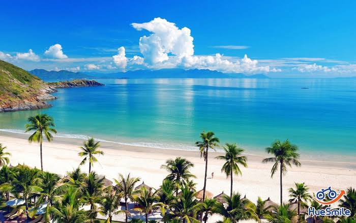 Đất nền dự án tại Sơn Trà, Đà Nẵng 90m² giá 7.99 tỷ - Cơ hội đầu tư không thể bỏ lỡ!