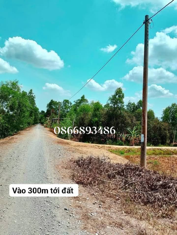 Đất lúa Mỹ Bình, Đức Huệ, Long An 2975m² - Giá chỉ 500 triệu VND