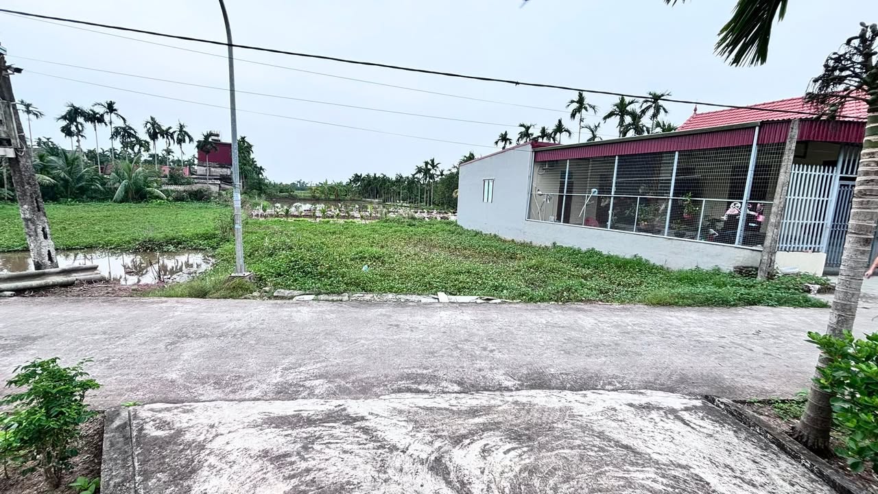 Đất chính chủ bán gấp tại xã Hải Tiến, Ninh Bình 156m² - Ngõ ô tô vào thoải mái!