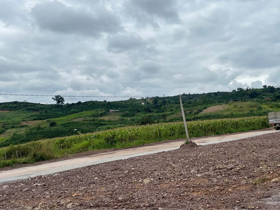 Đất vườn Tân Hà, Lâm Hà 1.000m² giá 630 triệu - Cuộc sống bình yên giữa thiên nhiên!