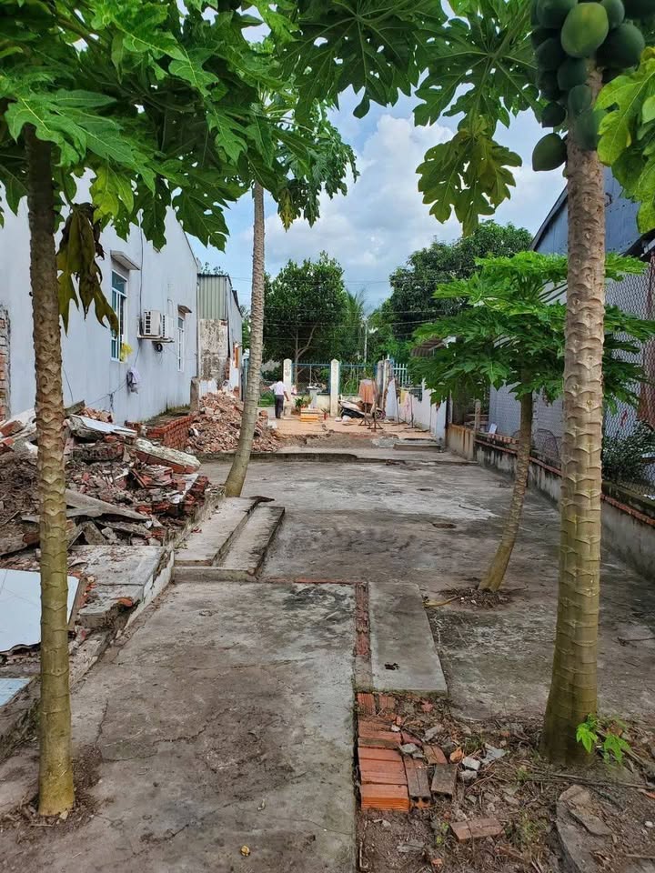 Đất nền 182.4m² An Châu, Châu Thành, An Giang - Giá chỉ 1.4 tỷ, thương lượng chính chủ!