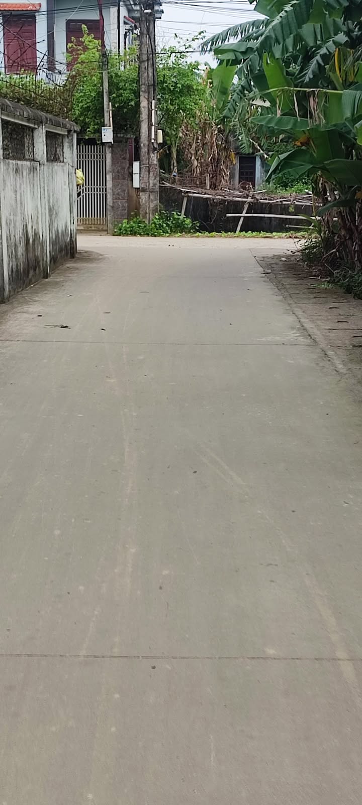 Đất nền Sầm Sơn, Quảng Châu 187m² giá chỉ 1.x triệu/m² - Đường ô tô tránh nhau