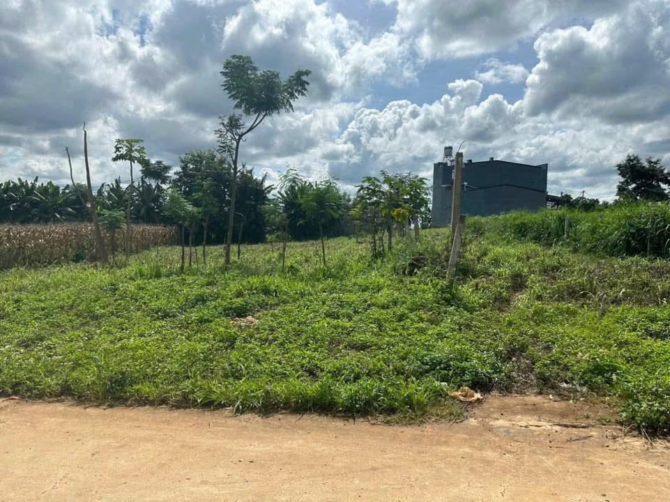 Đất nền mặt tiền Nguyễn Hữu Thấu, phường Tân Lợi, 250m² - Đầu tư sinh lời ổn định!