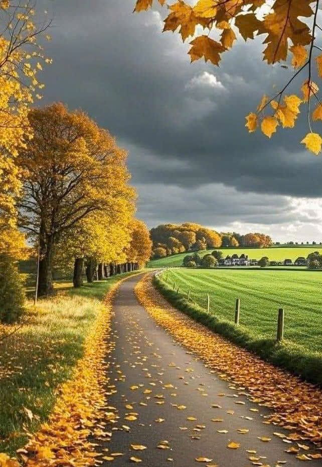 Đất vườn 2168m² tại Thôn Cầu Gỗ, Bắc Giang - View hồ tuyệt đẹp chỉ 1 tỷ!