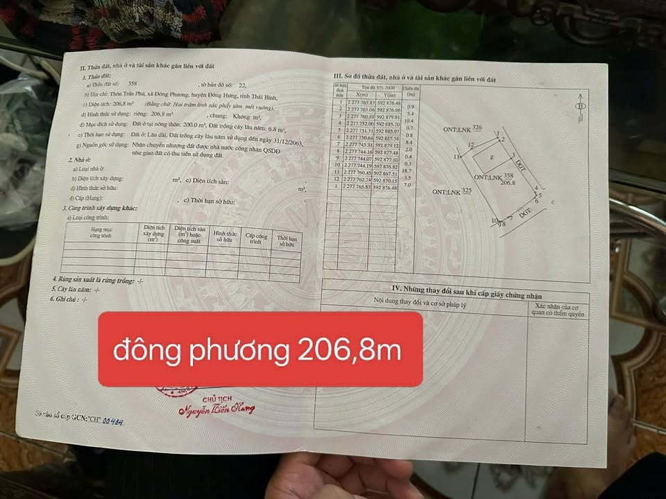 Đất tặng nhà tại Thôn Trần Phú, Thái Bình 206.8m² - Vị trí đẹp, pháp lý rõ ràng!