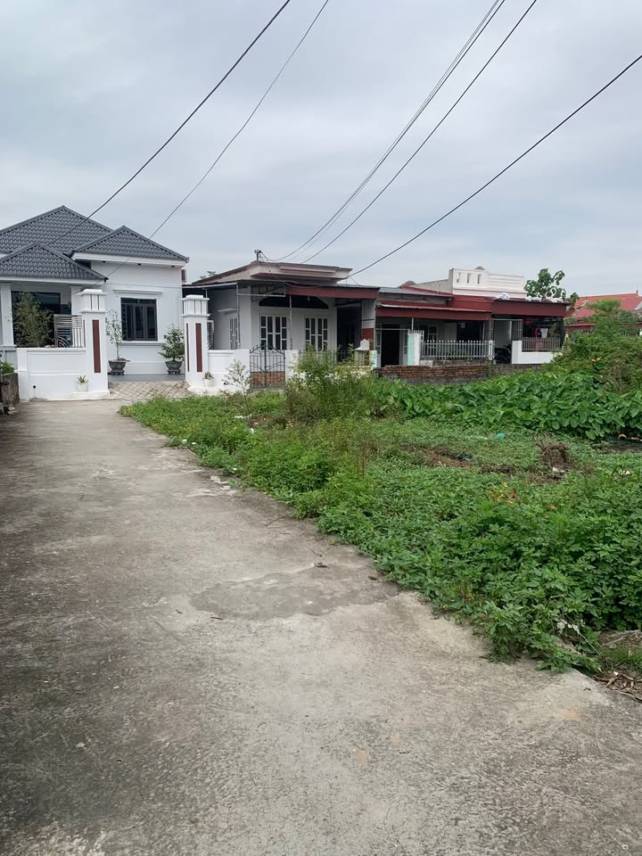 Đất nền 100m² tại Trung Nghĩa, Đồ Sơn - Giá chỉ 990 triệu - Cơ hội đầu tư tuyệt vời!