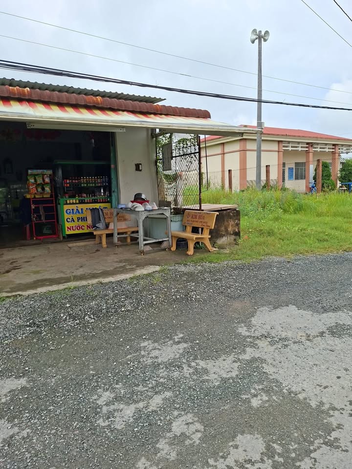 Nhà mặt tiền nhựa 98m² Tân Đông, Gò Công Đông giá 550 triệu - Đang kinh doanh tốt!