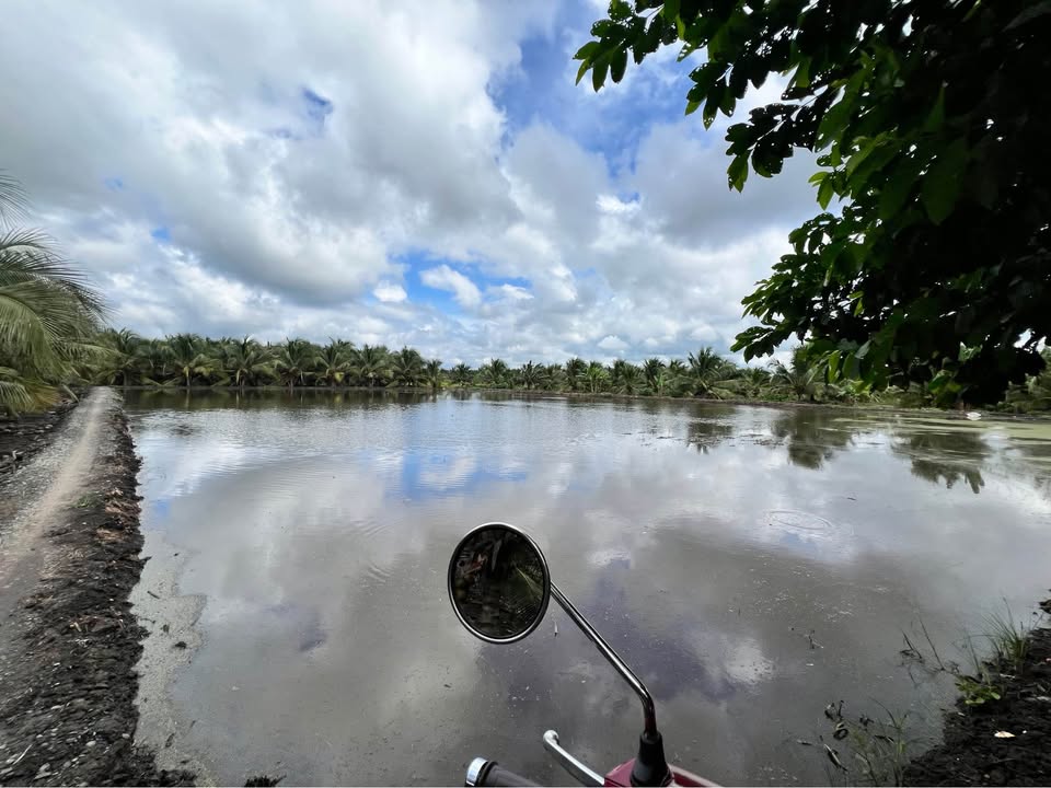 Đất vườn 50,000m² tại ấp 2, xã Tam Hiệp chỉ 5-6 tỷ - Tiềm năng phát triển cao!