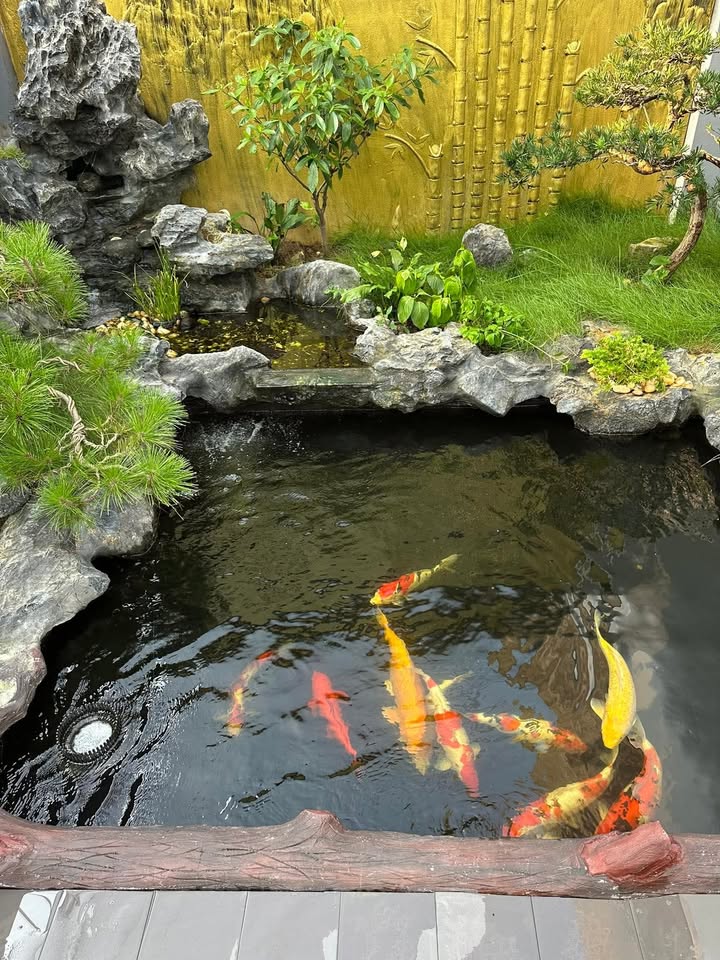 Nhà đất mặt đường Hai Bà Trưng - Lê Chân - Hải Phòng 71m² chỉ 14.8 tỷ - Sổ đỏ chính chủ!