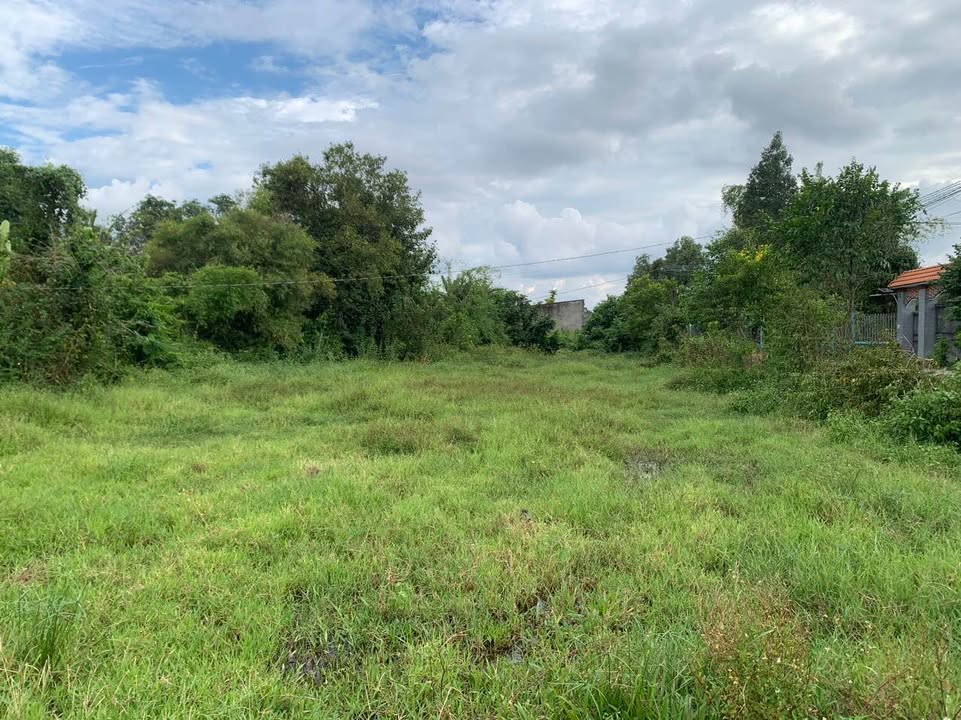 Đất nền 1218m² mặt tiền đường nhựa Ấp Mới 1, giá 14.5 tỷ - Cơ hội đầu tư tuyệt vời!