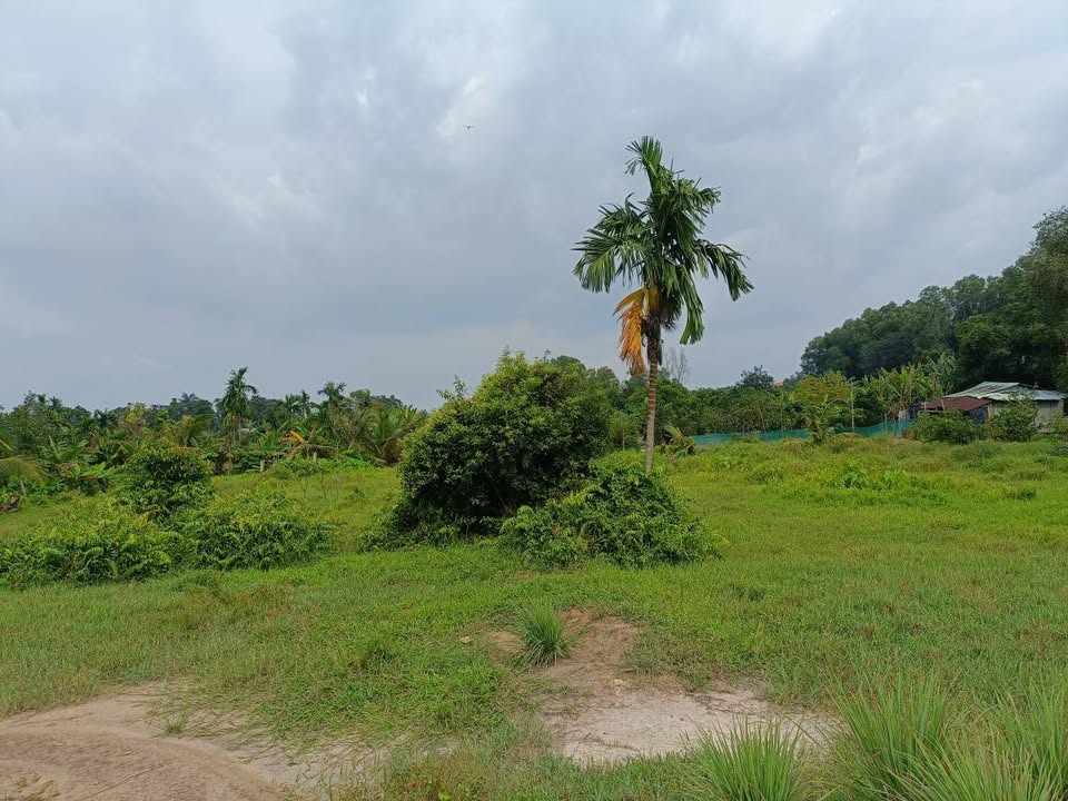 Đất nền Đông Thạnh Hóc Môn 3700m² giá 8.14 tỷ - Vị trí đắc địa mặt tiền sông!