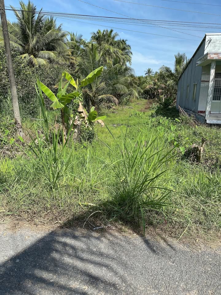 Bán đất mặt tiền nhựa 711m² giá thỏa thuận - Đầu tư sinh lời tại Vĩnh Long!