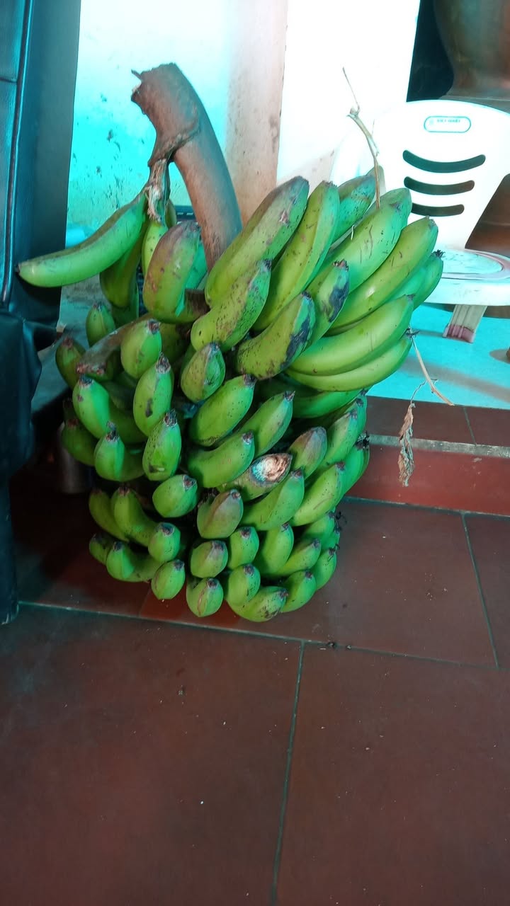 Đất thổ cư Hẻm 46 Nguyễn Kiệm, 100m² giá 400 triệu - Cơ hội đầu tư hấp dẫn!