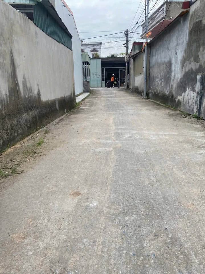 Đất nền Chiến Thắng An Lão 100m² giá thỏa thuận - Đầu tư sinh lời ngay!