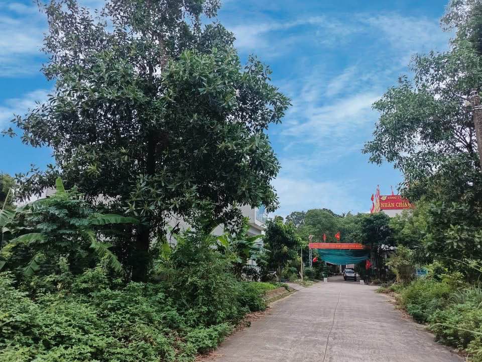 Bán đất Ngõ 1 Trần Minh Công Ninh Bình 90m² - Giá tốt cho khách thiện chí!