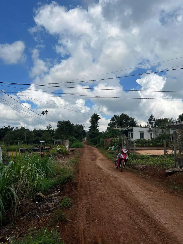 Đất nền khu dân cư Cư Bao, Buôn Hồ, 150m² - Giá chỉ 235 triệu - Cơ hội đầu tư tuyệt vời!