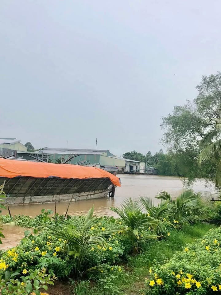 Đất nền Sa Đéc 542m² giá 2 tỷ - View sông thoáng mát, sổ đỏ chính chủ!