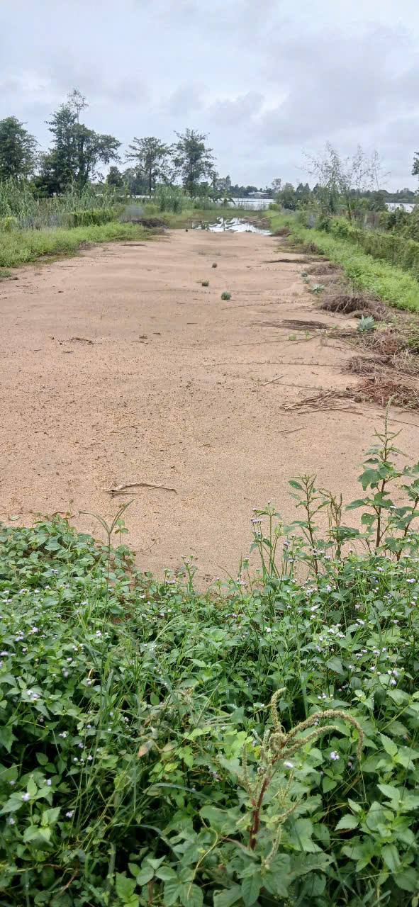 Đất nền đô thị xã Nhị Mỹ, phường Mỹ Trà, Đồng Tháp 970m² giá 1.2 tỷ - Đầu tư sinh lời ngay!