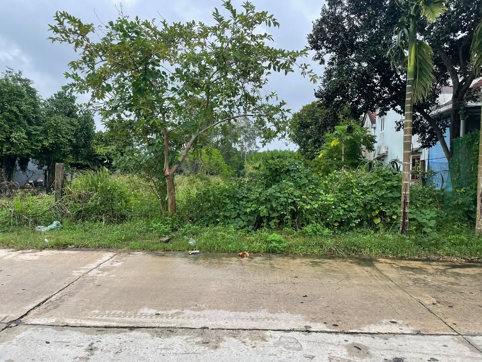 Đất mặt tiền đường DH Liên Xã Quý Phước, Hòa Vang, Đà Nẵng 100m² - Giá chỉ 700 triệu!