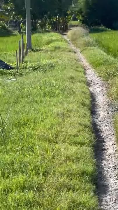 Đất thổ cư 270m² tại Giồng Lãnh, Tăng Hoà, Gò Công Đông - Chỉ 220 triệu!