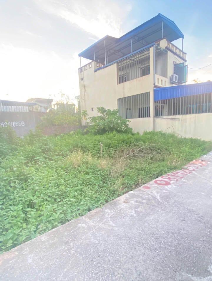 Đất nền An Đồng, An Dương, Hải Phòng 43m² giá 1.3 tỷ - Cơ hội đầu tư hấp dẫn!