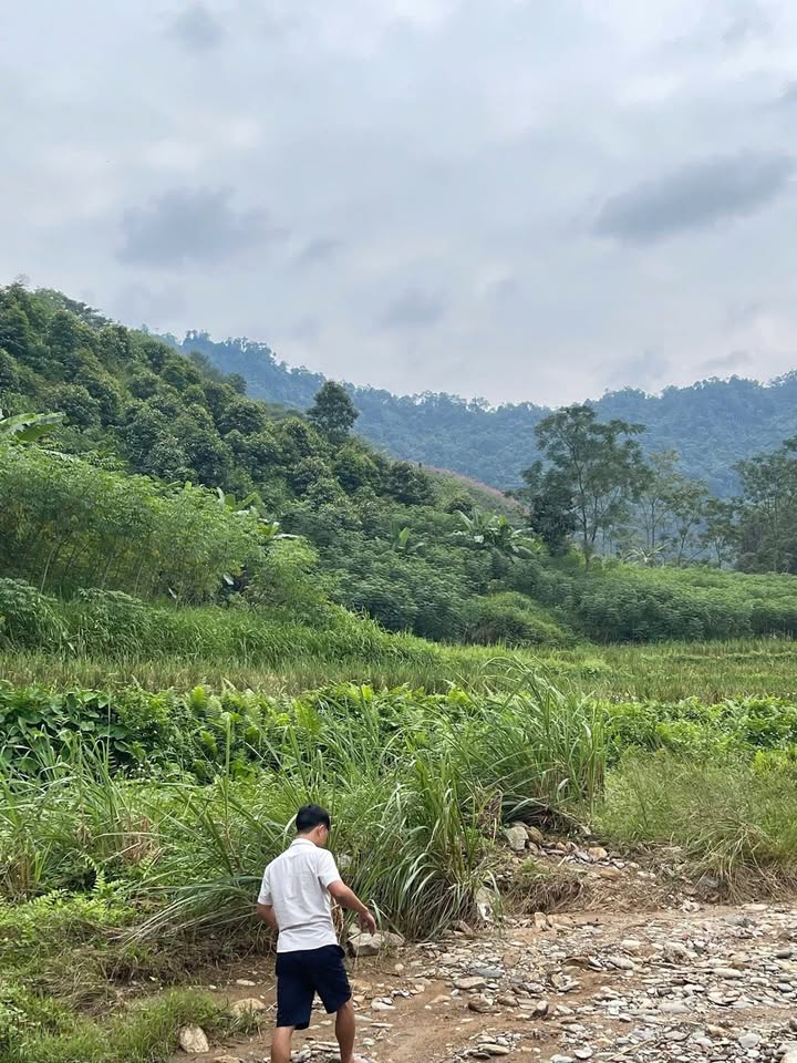 Đất Farm 9.2ha Thượng Cửu, Thanh Sơn, Phú Thọ - Tiềm năng đầu tư lớn!
