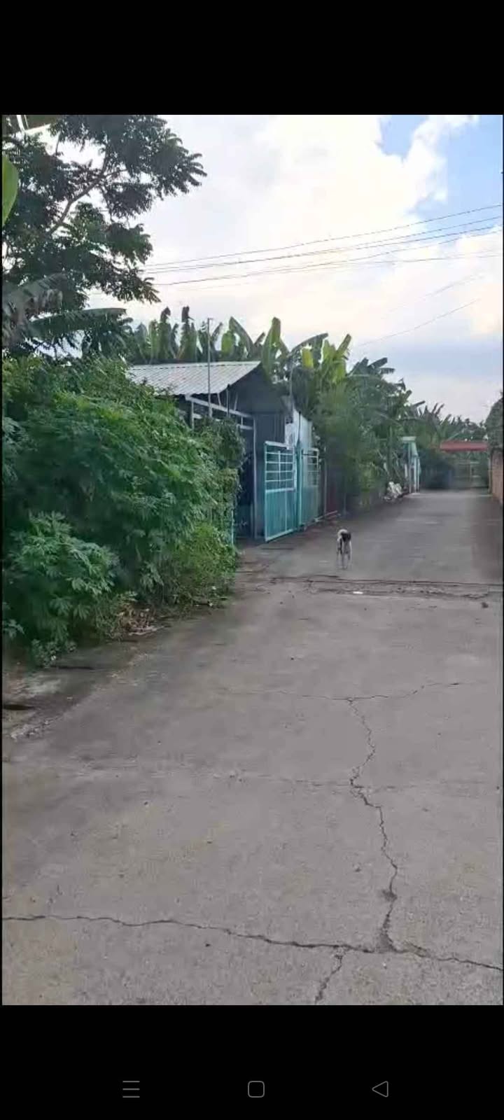 Đất thổ cư Tân Uyên 186m² giá 1.6 tỷ - Gần chợ Thạnh Phước!