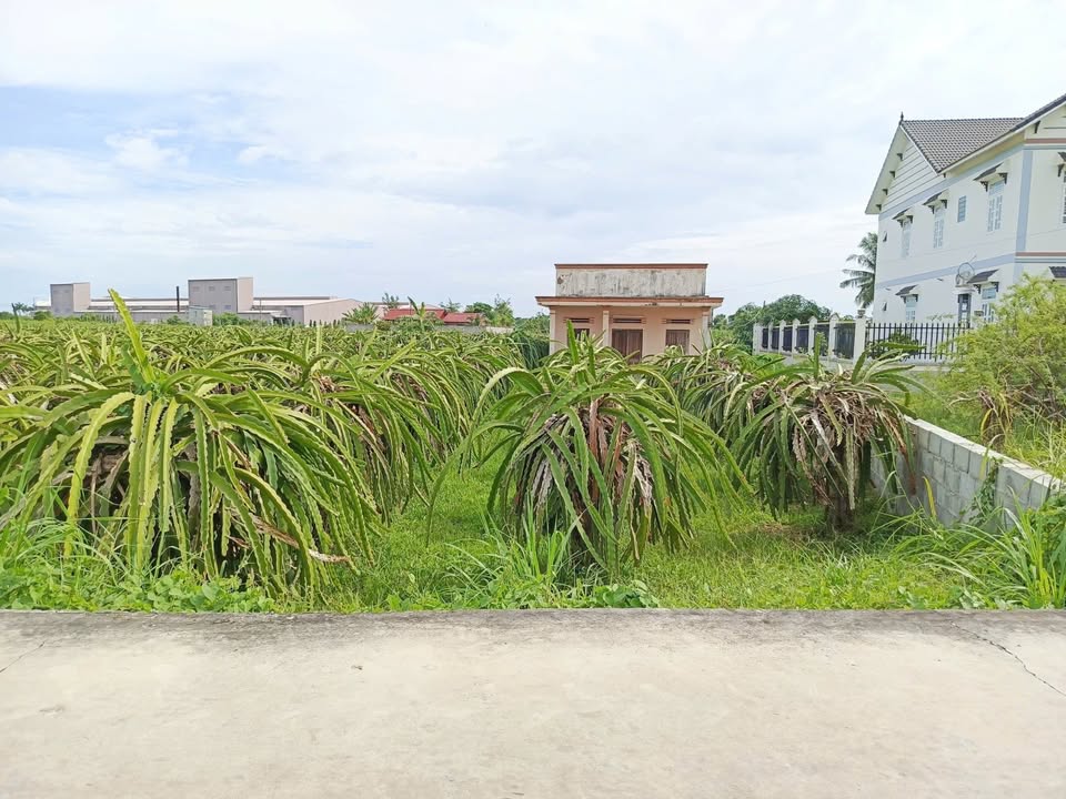 Đất thổ cư mặt tiền bê tông tại xã Hàm Liêm, 107m² giá chỉ 810 triệu - Đầu tư sinh lời ngay!