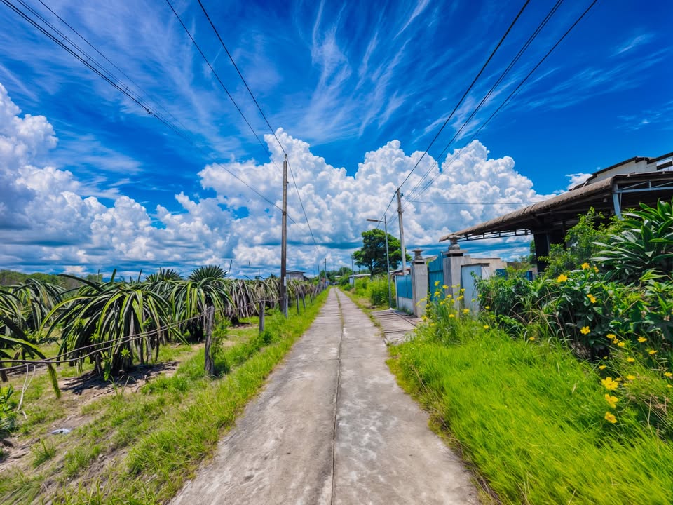 Bán đất hẻm Lý Thái Tổ, Tân Tiến, La Gi 372m² giá 1.1 tỷ - Đầu tư tiềm năng!