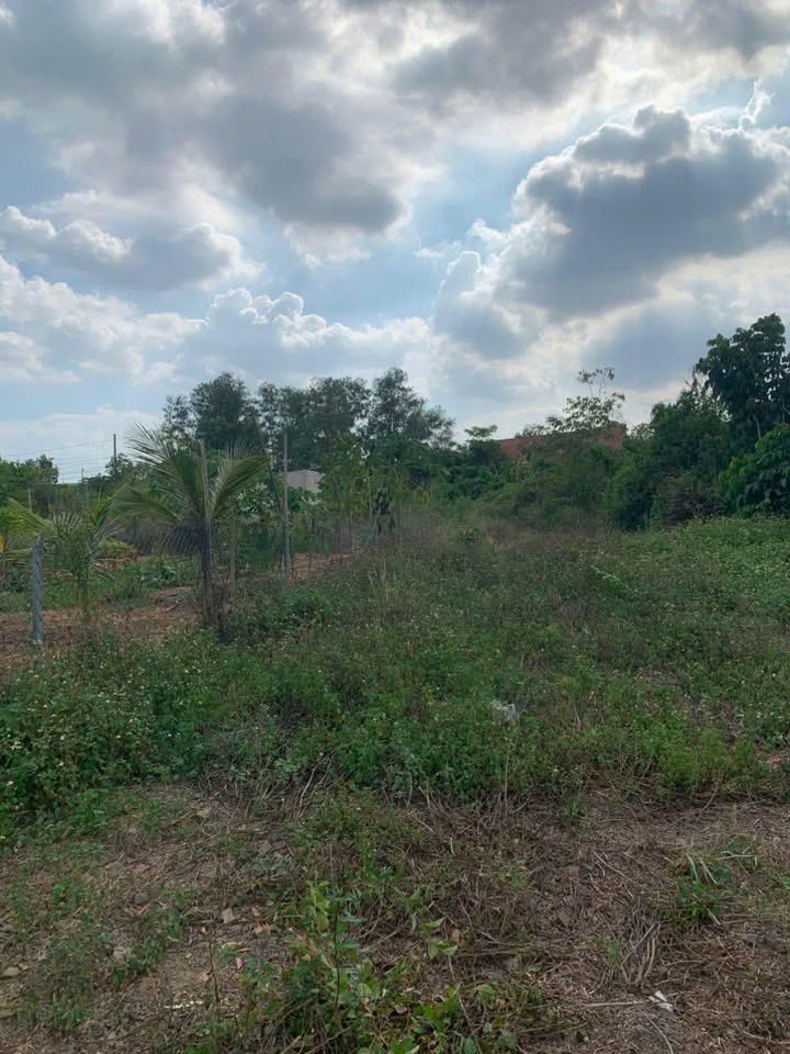 Đất nền Hố Nai 130m² giá chỉ 440 triệu - Bán gấp, thương lượng ngay!