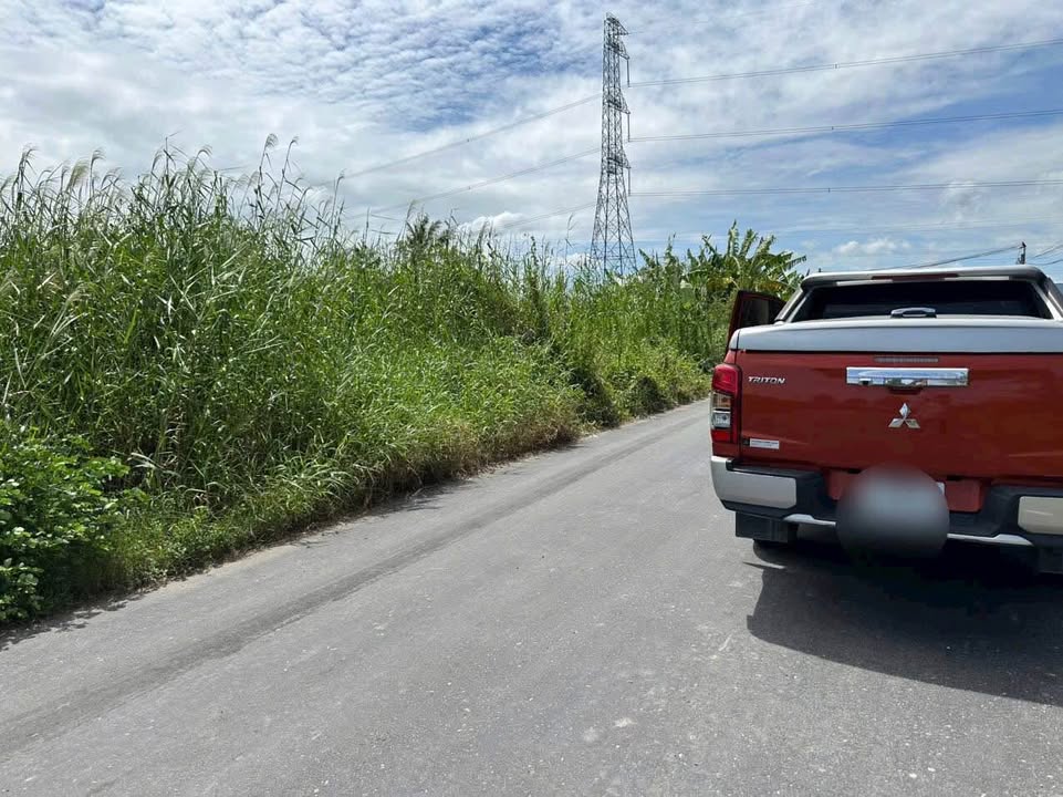 Đất nền 1640m² mặt tiền nhựa tại xã Tân Bình, Tân Trụ, Long An - Cơ hội đầu tư tuyệt vời!