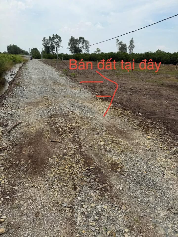 Đất vườn Bình Đức, Bến Lức 500m² giá chỉ 390 triệu - Nhanh tay chốt ngay!