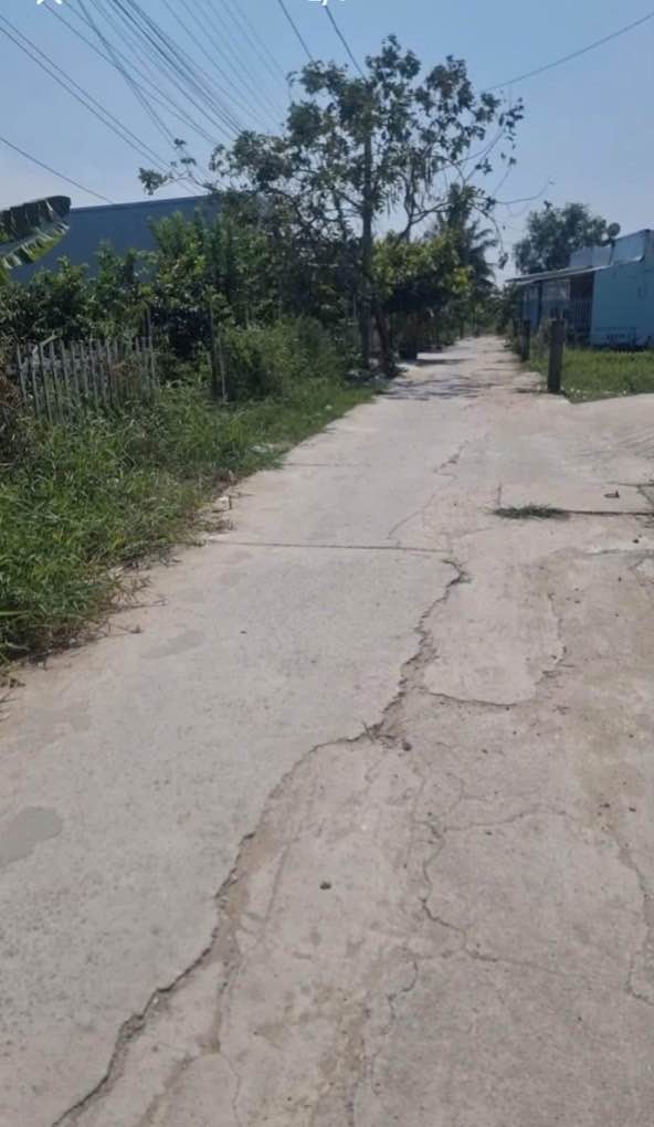 Đất thổ cư Bùi Viện 303.8m² giá 450 triệu - Thích hợp làm nhà vườn!