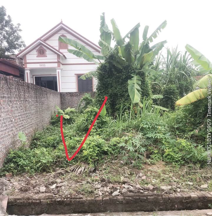 Đất nền chính chủ tại Làng Bến, Bắc Ninh 82.8m² - Vị trí vàng gần chợ Bến!