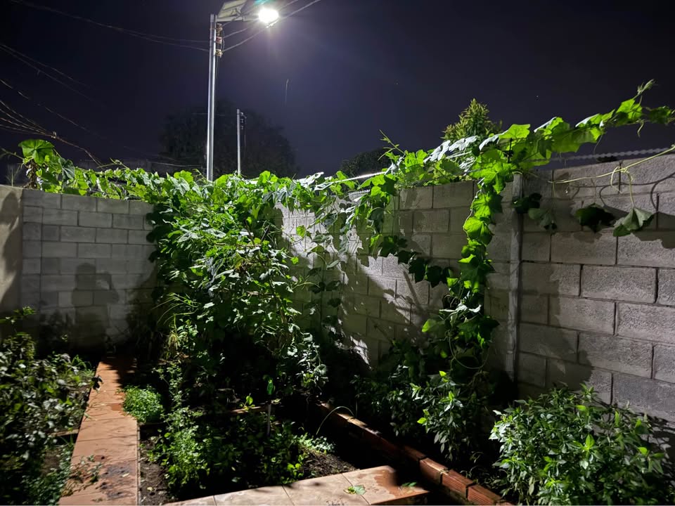 Đất thổ cư 1000m² tại Bàu Trâm, Xuân Lộc - Giá chỉ 1.99 tỷ VND!