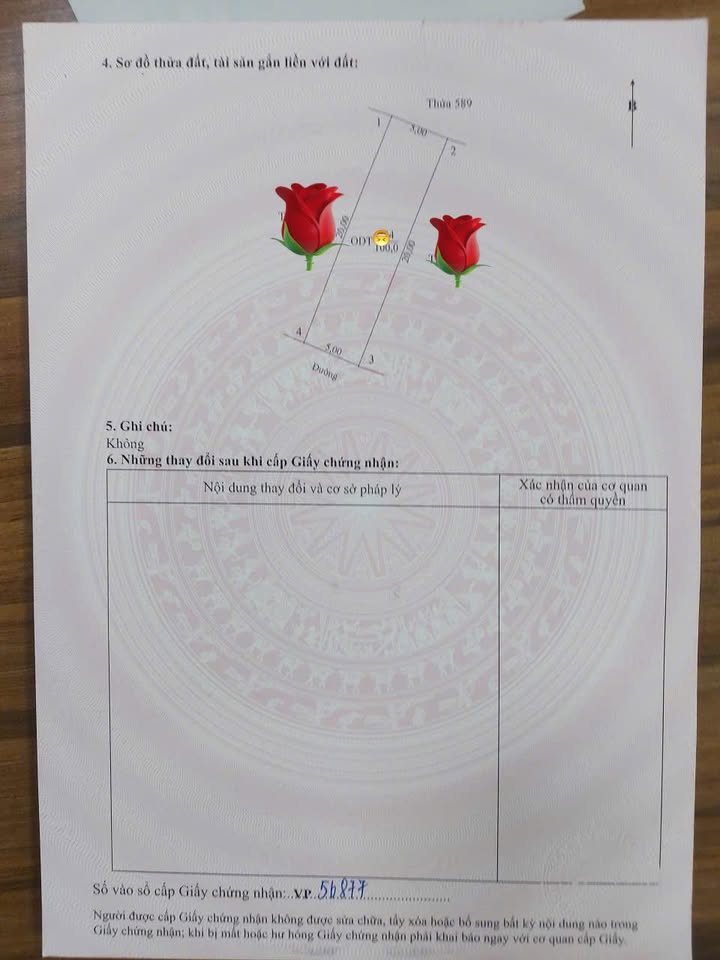 Bán lô đất phố Đông Phong, Tây Hoa Lư, Ninh Bình 100m² giá 3,9 tỷ - Tiềm năng sinh lời cao!