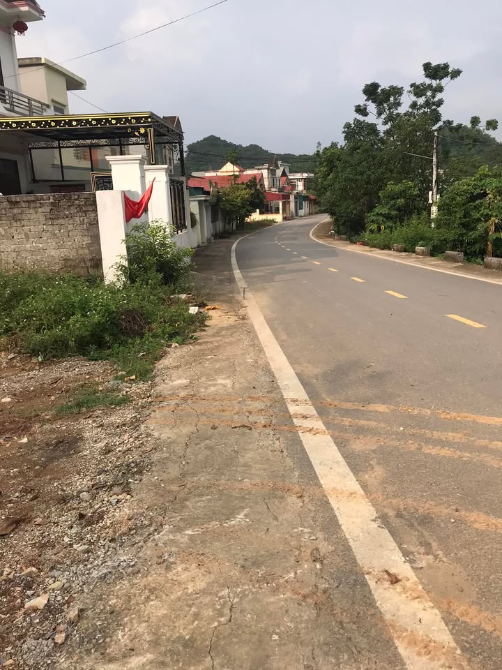 Đất nền Tân Bình, Tam Điệp 195.3m² giá 1.6 tỷ - Đường rộng thênh thang, dân cư đông đúc!