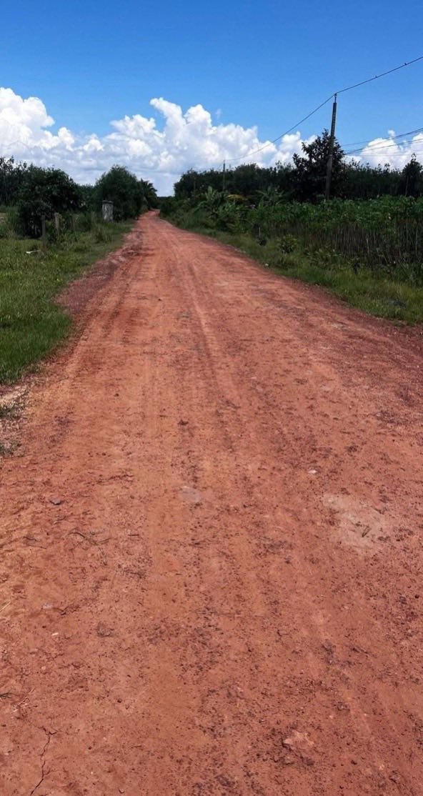 Đất nền Hảo Đước Châu Thành 10.000m² giá 2.2 tỷ - Cơ hội đầu tư tuyệt vời!