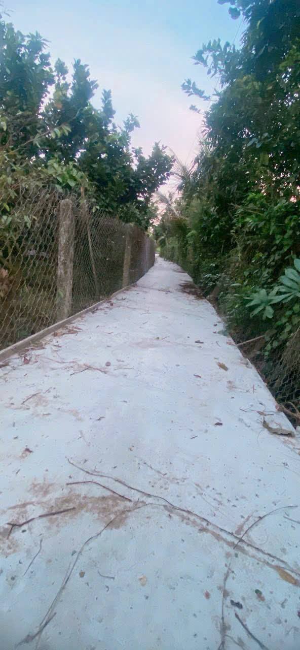 Đất thổ cư Song Bình 1235m² giá 349 triệu - Sổ hồng chính chủ!