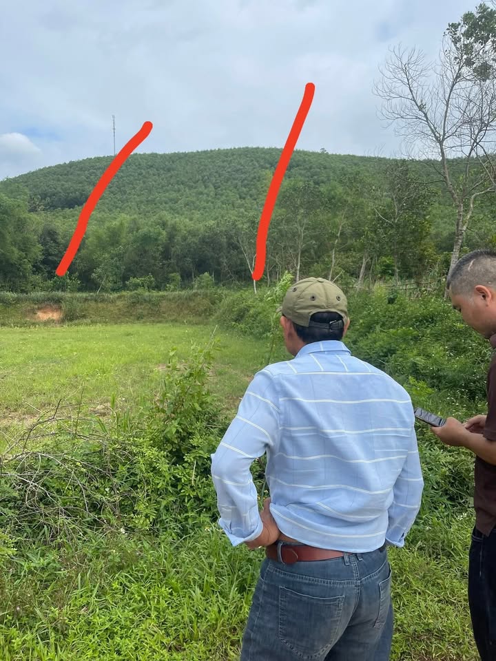 Đất rừng sản xuất Nghĩa Hợp 1,5ha giá 500 triệu - Đầu tư sinh lời lâu dài!