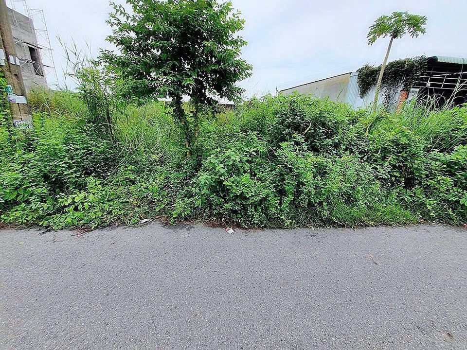 Đất thổ cư Tân Thông Hội Củ Chi 125m² giá 2.28 tỷ - Vị trí đẹp, tiềm năng cao