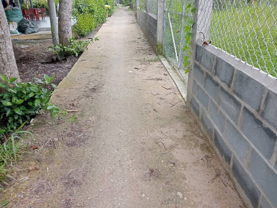 Đất vườn 592m² xã Long Hưng, Châu Thành, Đồng Tháp - Giá 750 triệu, vị trí đắc địa!