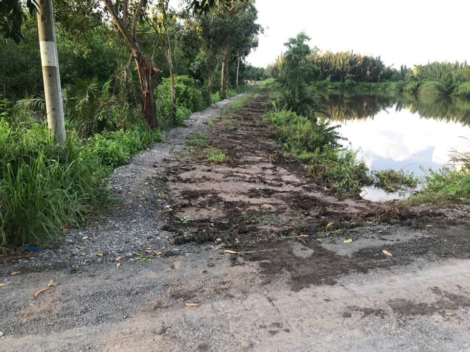 Đất vườn 580m² xã Đông Thạnh, Cần Giuộc chỉ 400 triệu - Đầu tư sinh lời ngay!